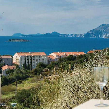 Nice Apartment In Cavtat With Wifi 외부 사진