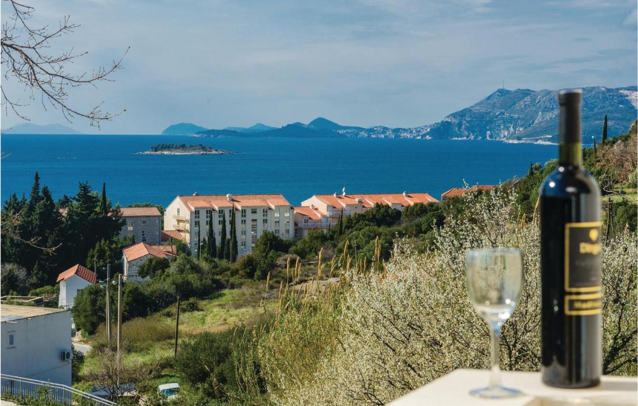 Nice Apartment In Cavtat With Wifi 외부 사진